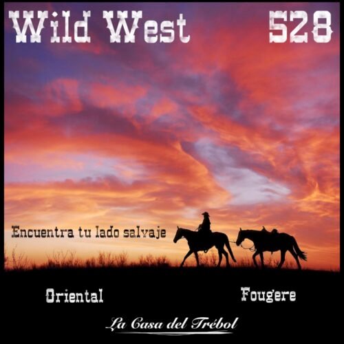 528 - Wild West