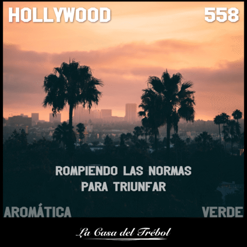 558 - Hollywood 558 - Hollywood
